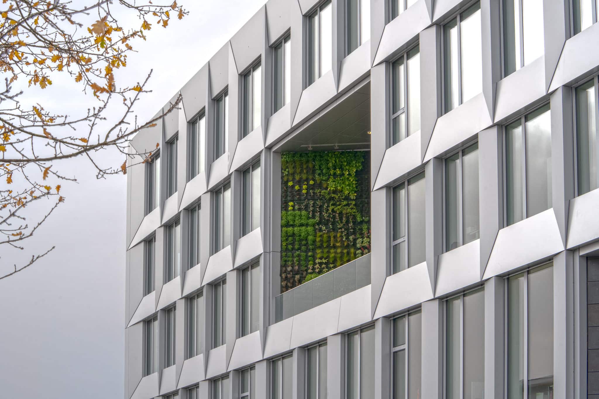 M3 architectural composition