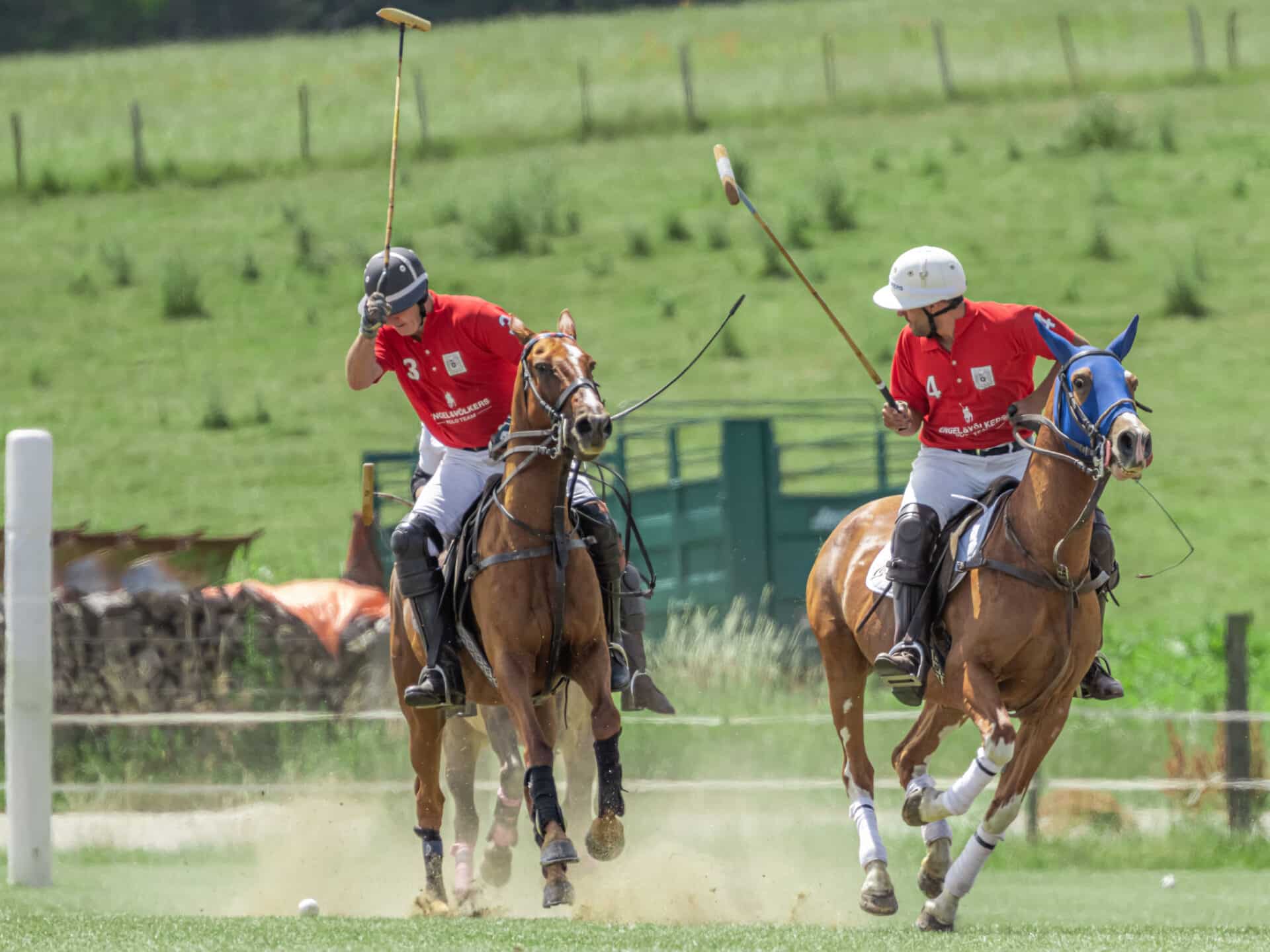 Polo Cup Luxembourg